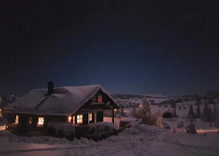 Family With A View At Kyrkjebygdheia